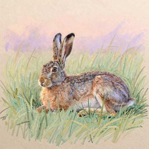 This detailed watercolor painting captures a serene scene of a rabbit resting in a grassy field. The rabbit, with its light brown fur accented by darker brown spots, is positioned in the center of the image, facing left. Its ears are perked up attentively, and its eyes are a striking brown. The rabbit's fur appears slightly damp, adding a touch of realism to the painting. The grass beneath the rabbit is a mix of green and yellow hues, with some blades standing taller than others, creating a natural, textured look. The background features a soft, light pink sky with hints of purple clouds, suggesting either a sunrise or sunset. The overall composition is simple yet captivating, with the focus solely on the rabbit and its tranquil surroundings.