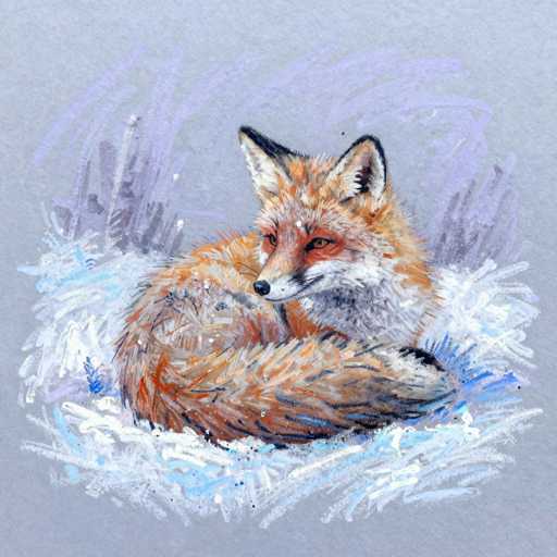This image features a detailed painting of a fox, set against a gray background. The fox is curled up in a ball, with its head turned to the left, showcasing its striking orange eyes and black nose. Its fur is a vibrant mix of orange, white, and black, with the white fur prominently visible on its chest and the inside of its ears. The fox's bushy tail is wrapped around its body, adding to the cozy appearance. Surrounding the fox is a textured area of white and blue, resembling snow or ice, with streaks of purple and gray in the background, enhancing the wintry feel of the scene. The overall composition captures the fox in a serene and peaceful moment, with its head slightly tilted, giving it a contemplative expression.