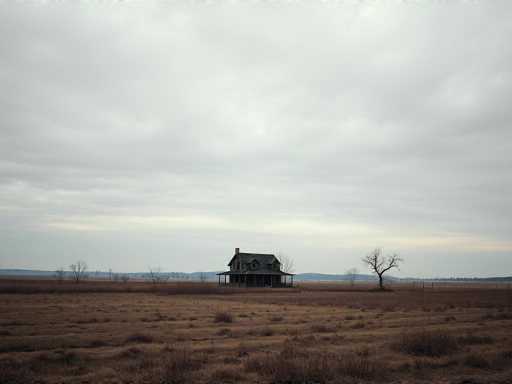 A haunting photograph captures an abandoned house standing solitary in the middle of a desolate field. The house, constructed from weathered wood, features a wraparound porch that encircles the structure, providing a sense of its former grandeur. The roof, now aged and worn, adds to the overall eerie atmosphere. Surrounding the house, the field is a patchwork of brown grass and scattered weeds, with occasional clumps of taller vegetation breaking the monotony. In the foreground, a few barren trees stand like silent sentinels, their leafless branches reaching towards the overcast sky. The sky itself is a uniform blanket of gray clouds, casting a somber light over the scene. In the distance, a faint outline of a mountain range can be seen, adding depth to the composition. The house, with its two stories and numerous windows, looms large in the frame, evoking a sense of mystery and abandonment.