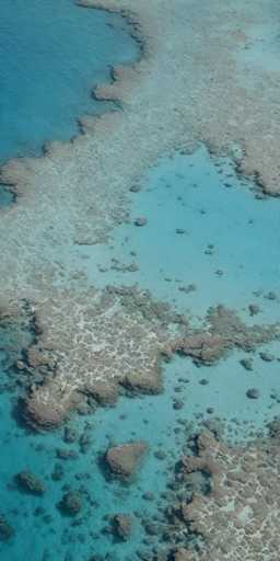 This aerial photograph captures a stunning view of a tropical ocean, likely in the Caribbean Sea. The image is dominated by a vast expanse of clear, light blue water, interspersed with patches of sandy areas that create a mosaic-like pattern. These sandy patches vary in color from light brown to gray, and are dotted with small, dark gray rocks, adding texture to the scene. The water appears shallow in some areas, revealing the sandy bottom, while in others it deepens into a richer blue hue. The overall composition is a harmonious blend of blues and grays, showcasing the natural beauty of this tropical seascape.