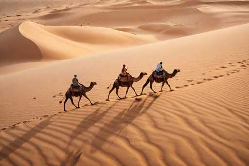 In this captivating image, three camels traverse a vast desert landscape, leaving a trail of footprints behind them. The camels are arranged in a line, with the one in the middle being the largest and carrying a rider adorned in a vibrant red turban and a matching red robe. The camel on the left is smaller and carries a rider dressed in a blue robe, while the camel on the right is also smaller, with a rider wearing a white robe and a blue turban. The desert sand is a rich brown, with subtle ripples and waves adding texture to the scene. In the background, the sand forms undulating hills and valleys, creating a dynamic and serene backdrop. The camels' footprints are clearly visible, trailing from the bottom left corner of the image and curving towards the right, leading the viewer's eye across the expansive sandy expanse.